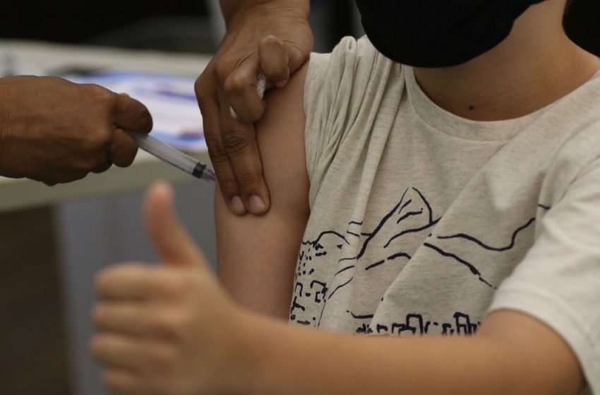 Brasil recebe mais 2,1 milhões de doses de vacinas da Pfizer
