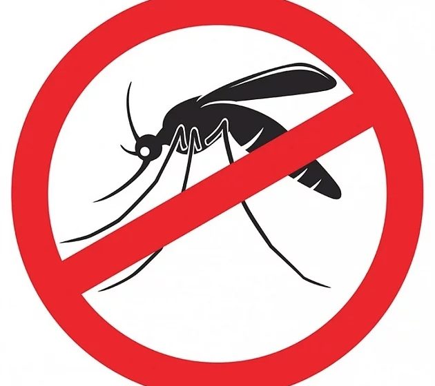  Vigilância ambiental de Vacaria combate focos da dengue