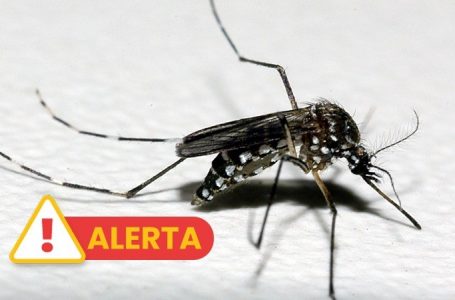 Confirmado novo óbito por dengue no RS