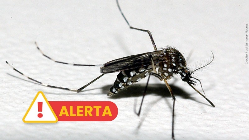  Confirmado novo óbito por dengue no RS