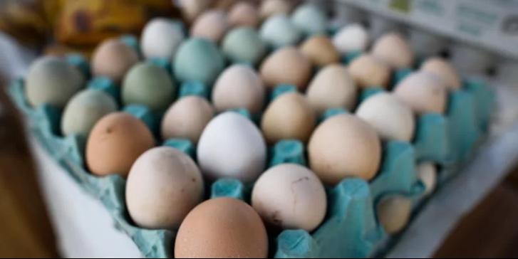 Ovos serão tributados em 12% a partir de abril