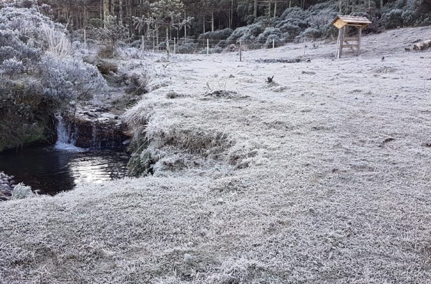 Inverno será típico no Rio Grande do Sul, com frentes frias