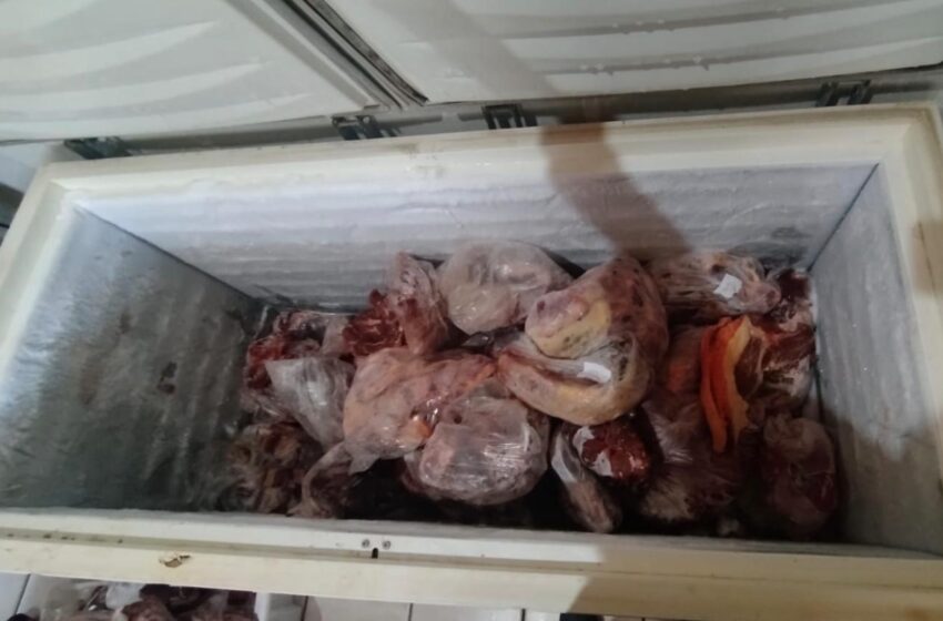  Polícia Civil prende responsáveis por estabelecimentos e apreende mais de 400 quilos de carne imprópria para consumo em Vacaria