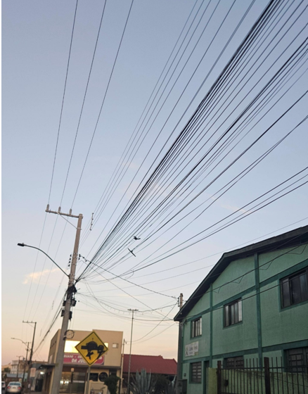  Operação limpa postes tem cronograma de trabalho